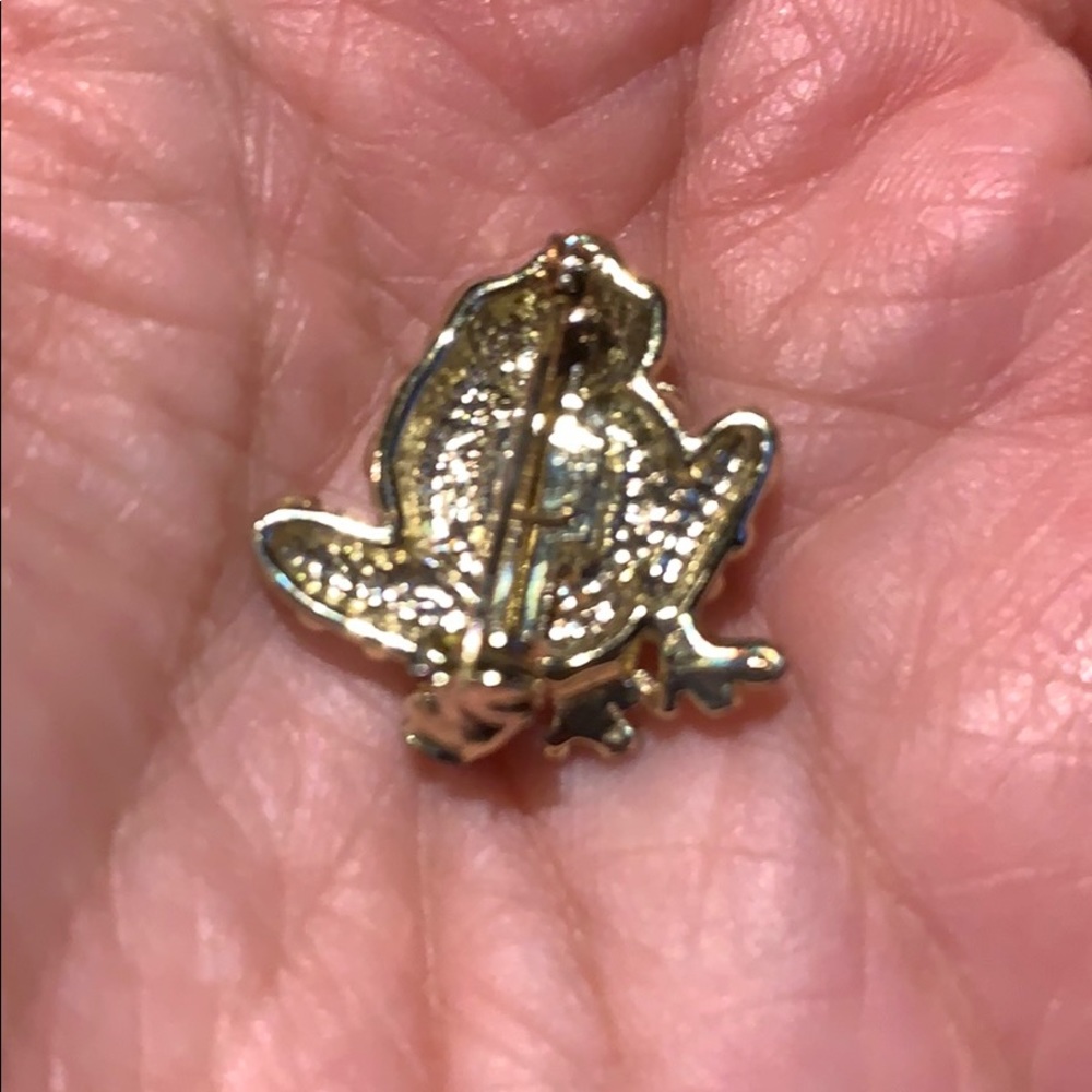 Frog đ¸ Brooch - Picture 3 of 4
